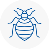 Bed Bug Extermination In Picester