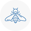 Bee Nest Removal Picester