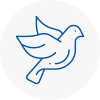 Bird Prevention Picester