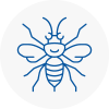 Picester Hornet Nest Removals