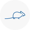 Mice Exterminators In Picester
