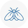 Moth Control Specialists In Picester
