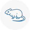Rat Control Picester