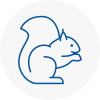 Picester Rodent Removals
