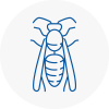 Picester Wasp Nest Removal